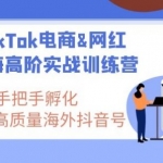 Tiktok跨境带货教程：打造高质量国际版抖音账号视频教程