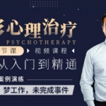 王铮 完形心理治疗：60节课，从入门到精通