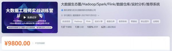 大数据工程师实战训练营 Hadoop/Spark/Flink/数仓等 视频+资料(40G) 价值9800元-1